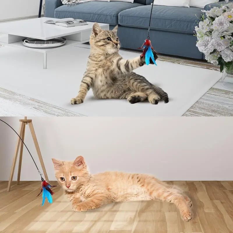 LAST DAY PROMOTION SALE 49% OFF💖Cat Toy Wand Auto Interactive Toys for Indoor Cat 8 in 1 Hands-Free Natural Bird Feather Ball Toys