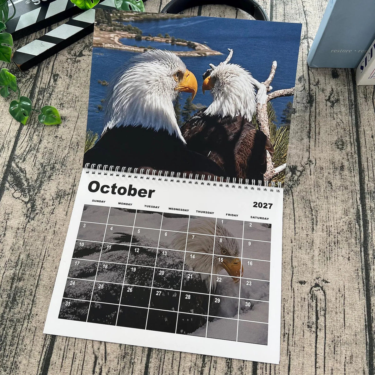Jackie & Shadow 2027 Bald Eagle Wall Calendar