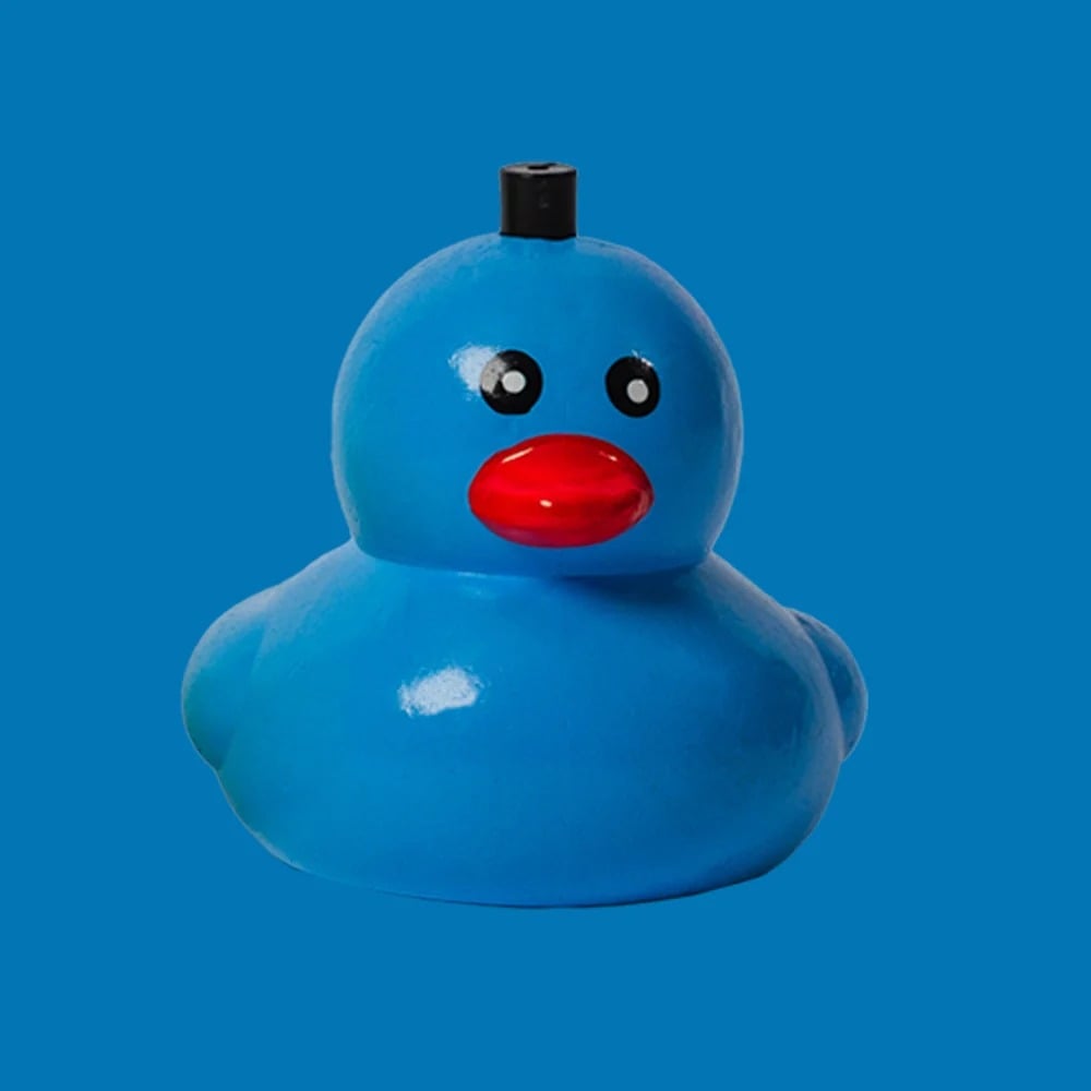 🔥 LAST DAY 49% OFF – 🦆 Reel QuackersTM Duck Fishing Bobber | Colorful Easy-to-Use Fishing Float for Kids, Families & Anglers 🎣✨