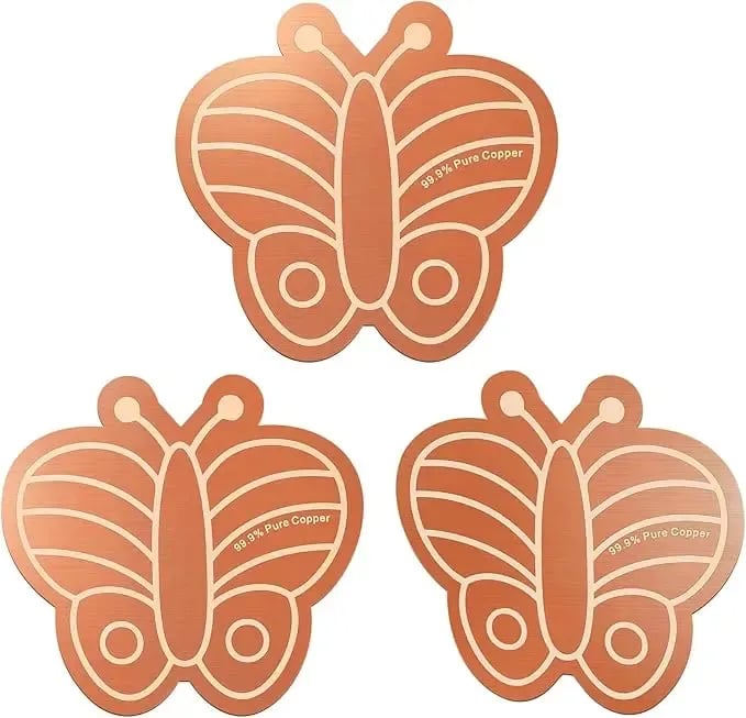 3Pcs Copper Cleaning Discs for Bird Baths