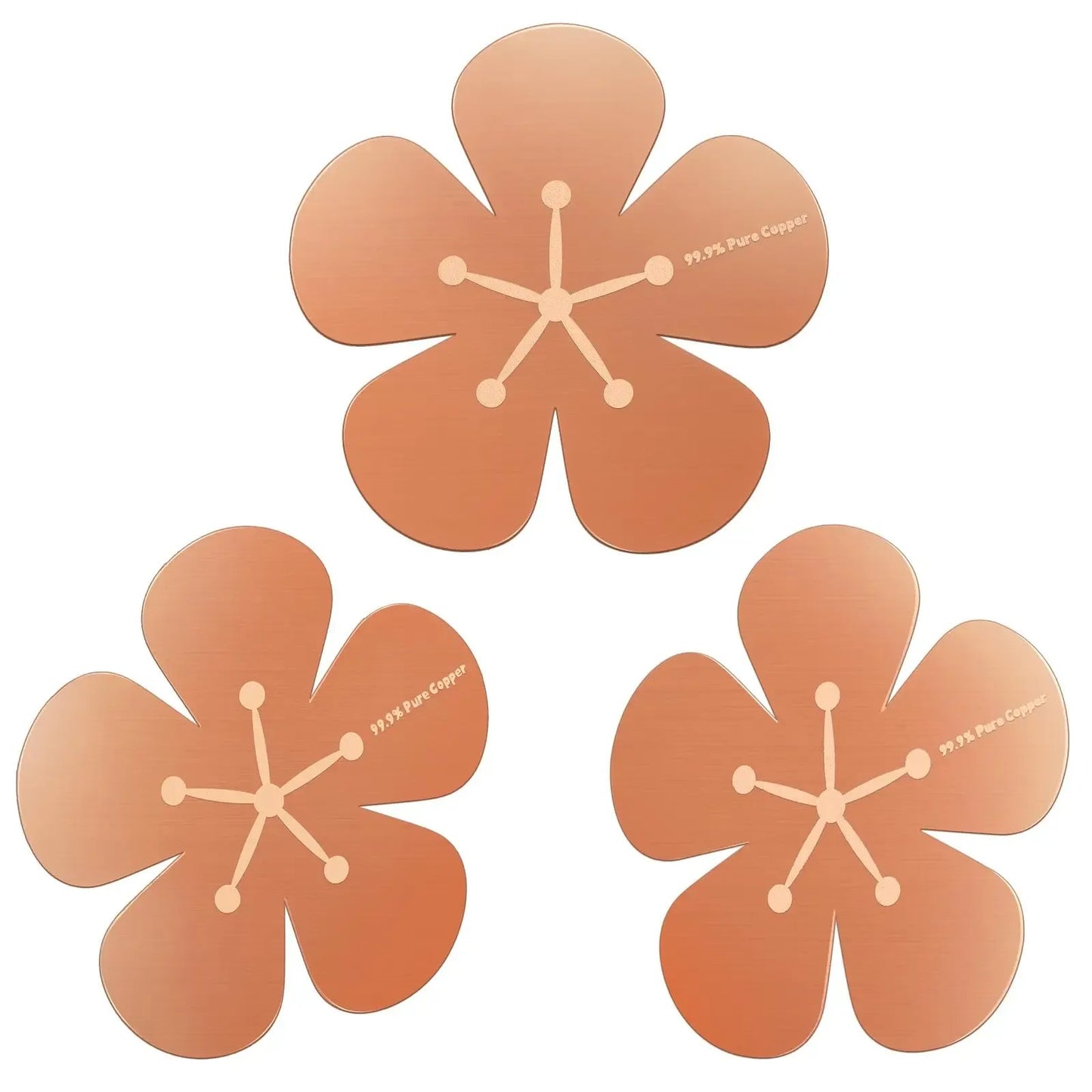 3Pcs Copper Cleaning Discs for Bird Baths
