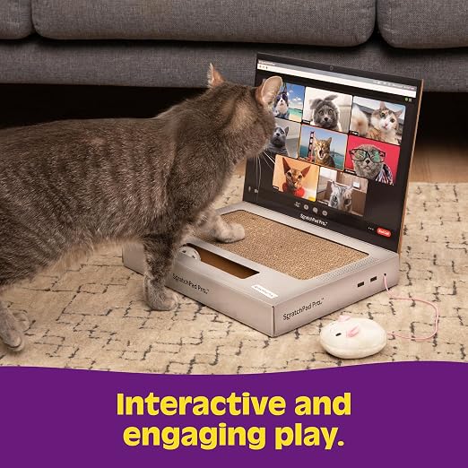 🐱Cardboard Laptop Cat Scratcher, Interactive Cat Toys for Indoor Cats, Kitten Supplies and Cat Stuff