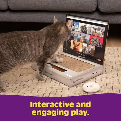 🐱Cardboard Laptop Cat Scratcher, Interactive Cat Toys for Indoor Cats, Kitten Supplies and Cat Stuff