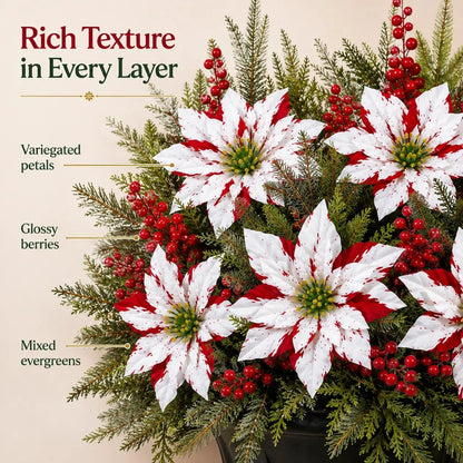 🎉❀Last Day 50% OFF🔥Christmas Poinsettia Planter Inserts