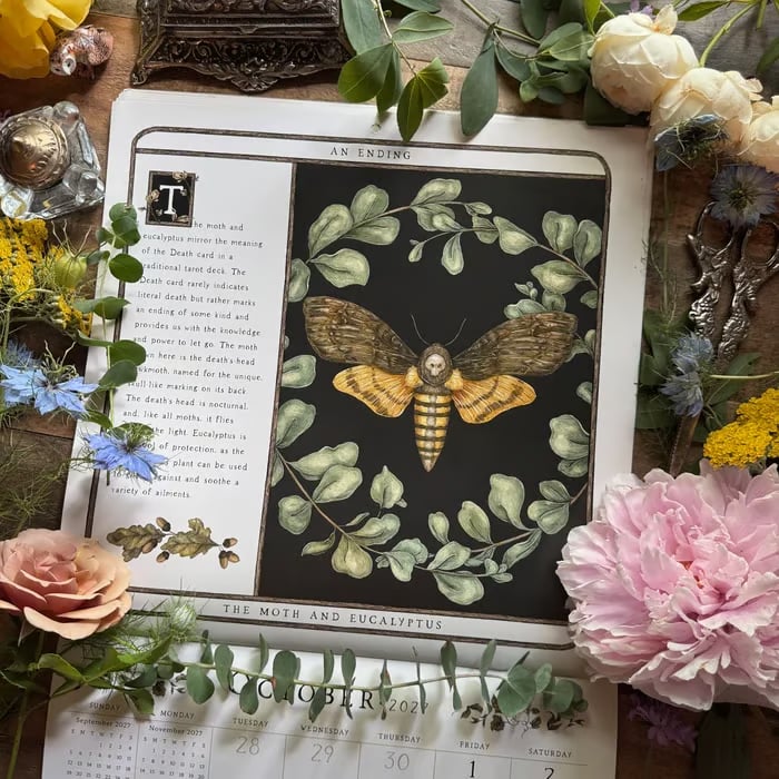 🌙 Woodland Warden 2027 Planner – A Year of Nature's Wisdom & Intention