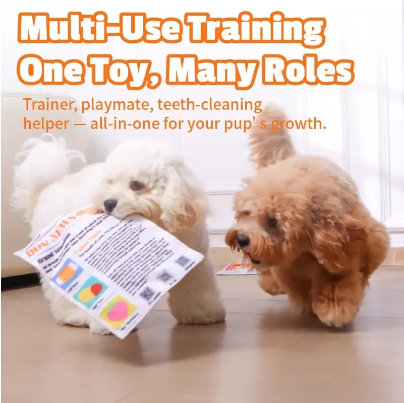🎉🔥3-Pack Bundle🔥Crinkle Newspaper Dog Toy for Boredom Relief, Interactive Chew Toy for Dogs