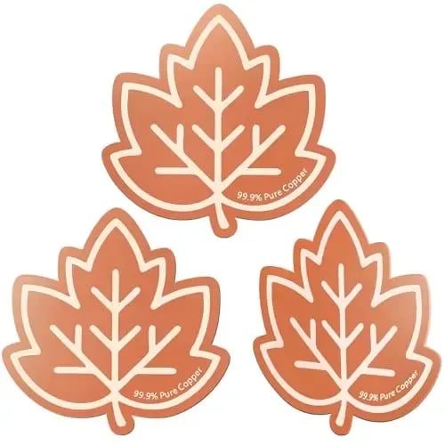 3Pcs Copper Cleaning Discs for Bird Baths