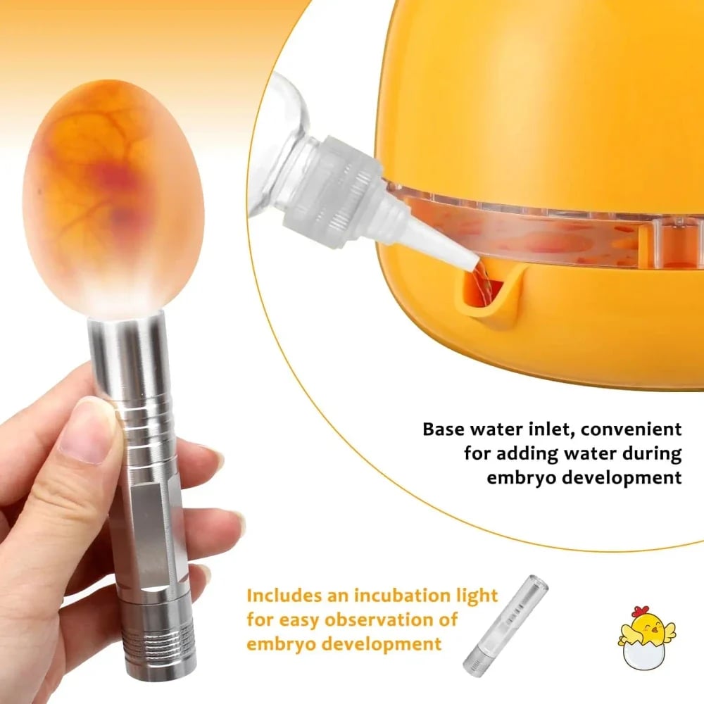 Mini Egg Incubator Set – The Easiest Way To Experience The Wonder Of Life