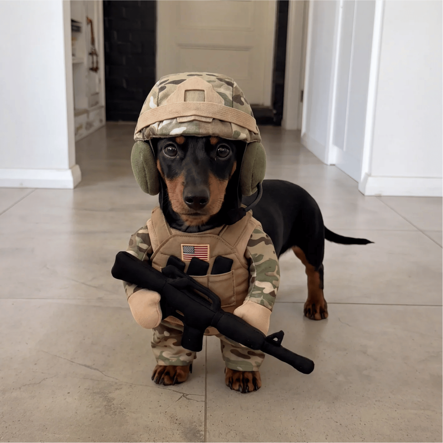 🔥 Limited-Time 49% OFF✨Pet Tactical Soldier Uniform