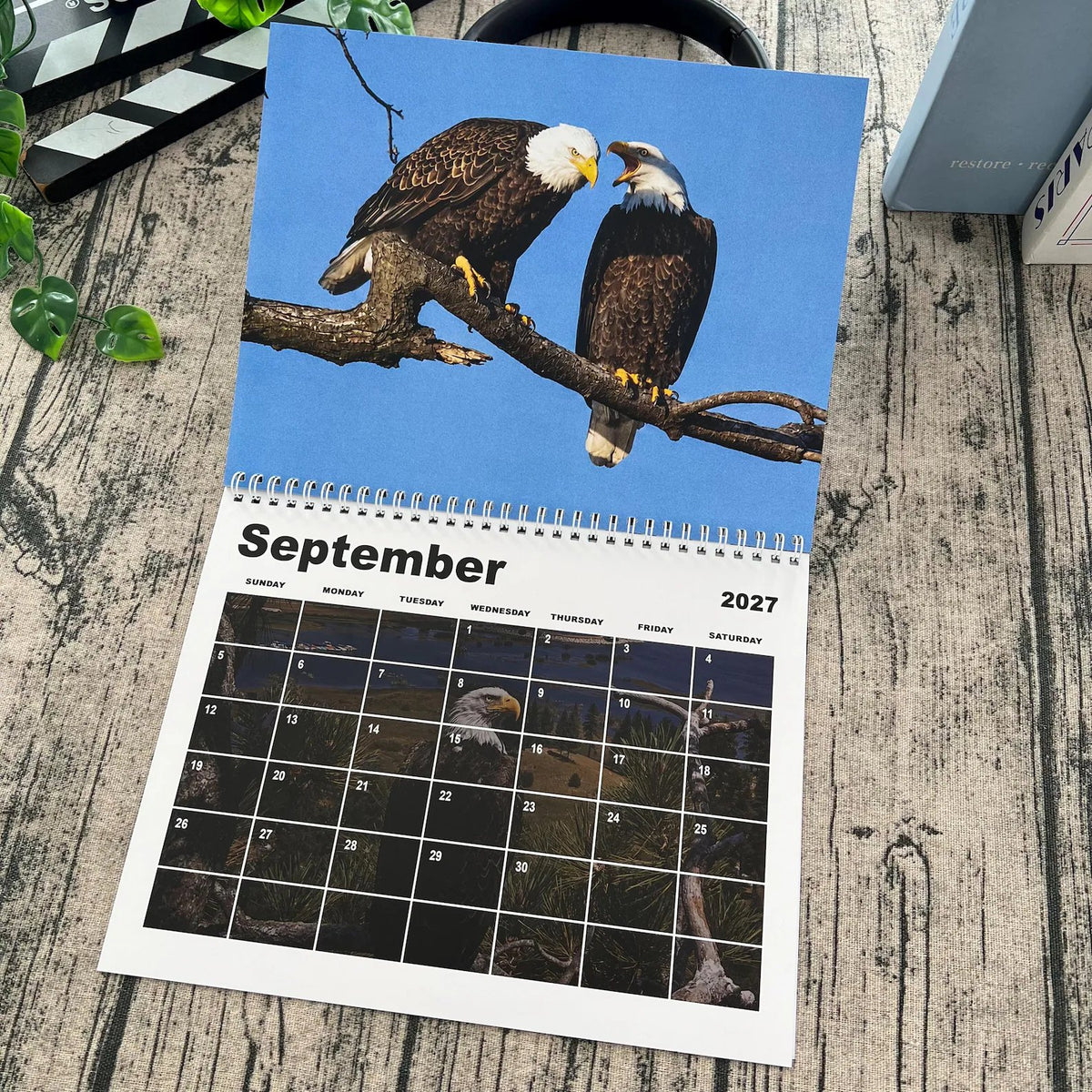 Jackie & Shadow 2027 Bald Eagle Wall Calendar