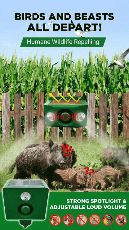 Powerful Solar Predator Deterrent Lights for Enhanced Protection