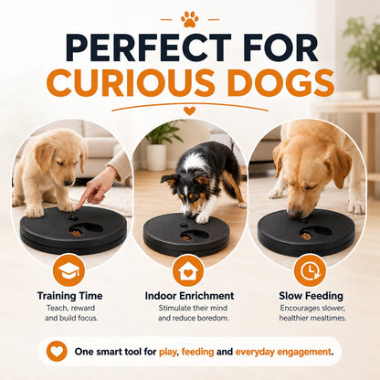 3-in-1 Dog Enrichment Feeder