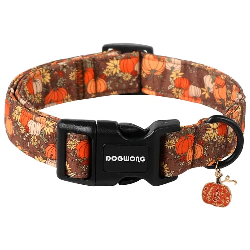 Fall Pumpkin Dog Collar | Adjustable Soft Padded Pet Collar with Pumpkin Charm 🎃🍂