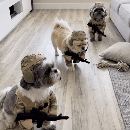 🔥Hilarious Tactical Soldier Pet Costume – Front-Facing Military Uniform for Dogs & Cats