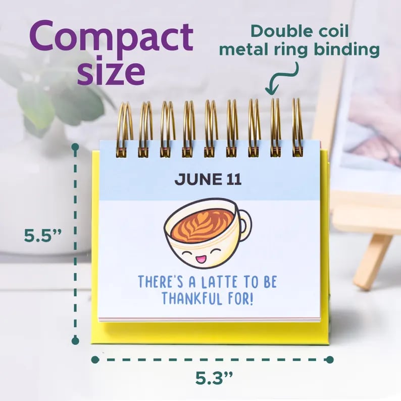 Funny Motivational Desk Calendar – Perpetual Daily Flip Calendar with Cute Puns, Inspirational Office Decor & Gift Idea