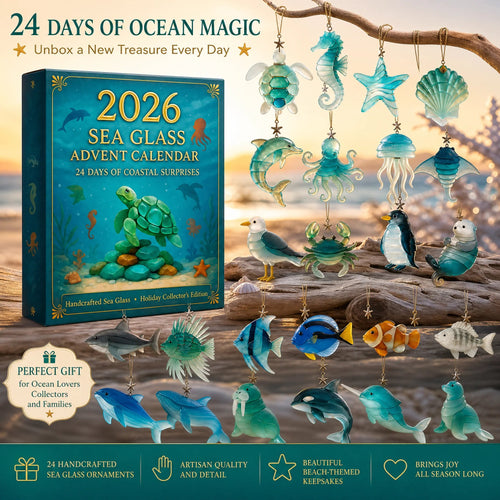 🎉🌊2026 Advent Calendar · Ocean Treasures