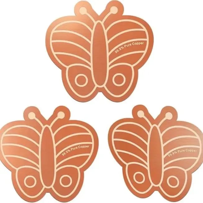 3Pcs Copper Cleaning Discs for Bird Baths