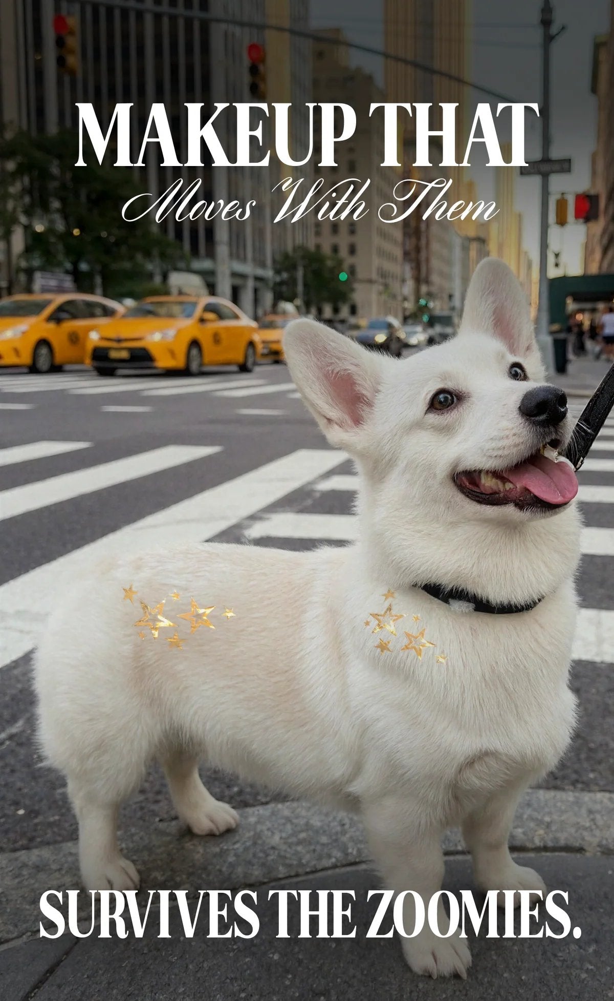 💫Temporary Dog Fur Tattoos – Waterproof, Pet-Safe & Easy to Remove | 4 Patches Per Pack🐾
