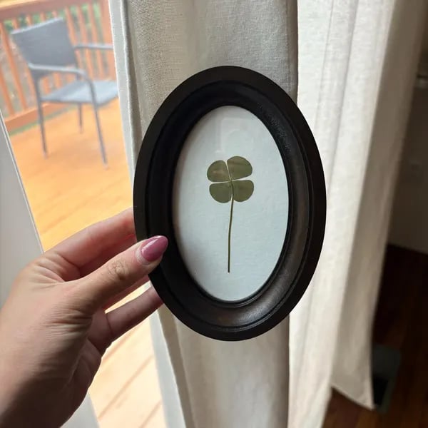 🍀Four-Leaf Clover in Oval Frame, Good Luck Charm, Pressed Clover, Handmade Botanical Decor