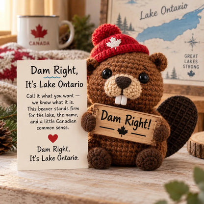 🦫 Lake Ontario Emotional Support Beaver Crochet Keepsake | 5 Canadian-Inspired Personalities with Matching Message Cards for Cottage Families, Lake Lovers & Meaningful Gifts 🍁