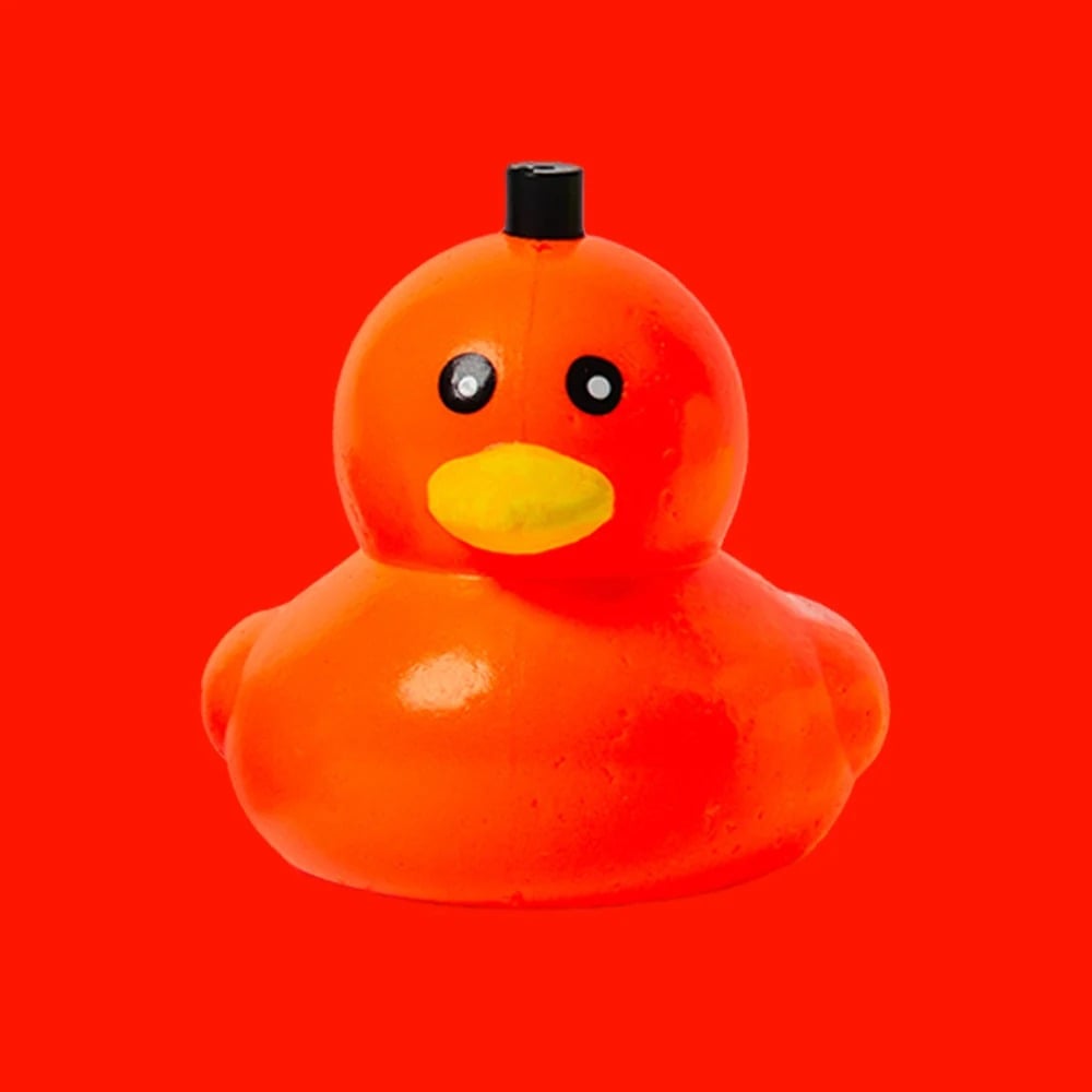 🔥 LAST DAY 49% OFF – 🦆 Reel QuackersTM Duck Fishing Bobber | Colorful Easy-to-Use Fishing Float for Kids, Families & Anglers 🎣✨