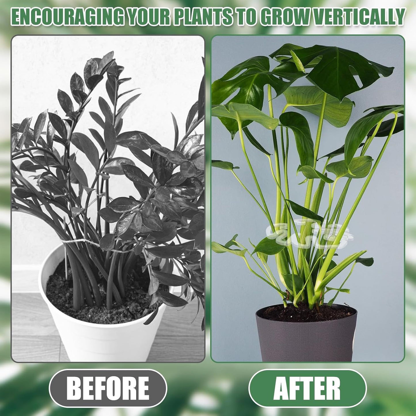 Clear Monstera Leaf Acrylic Plant Support Stake | Invisible Stem Support for Indoor Potted Plants 🌿