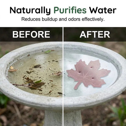 ⏰Buy 1 Get 1 Free⏳Time-Limited Special⏰Universal Fit Bird Bath Purifier