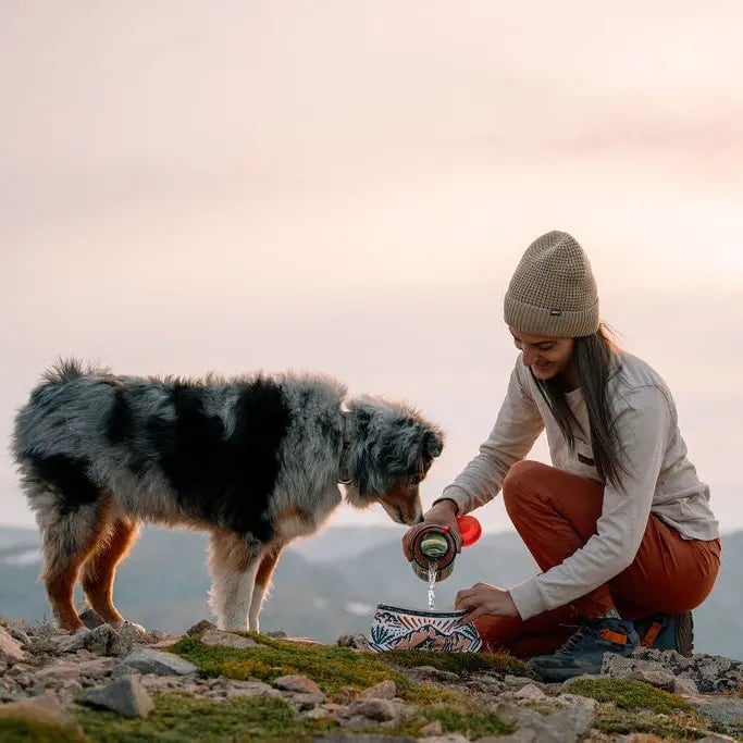 🐶2-in-1 Reversible Dog Bandana Bowl