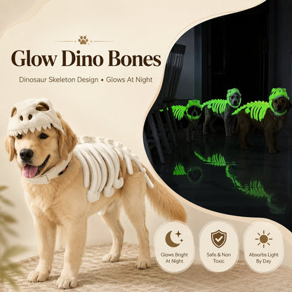 🦖 Glow In Dark Dinosaur Skeleton Dog Costume