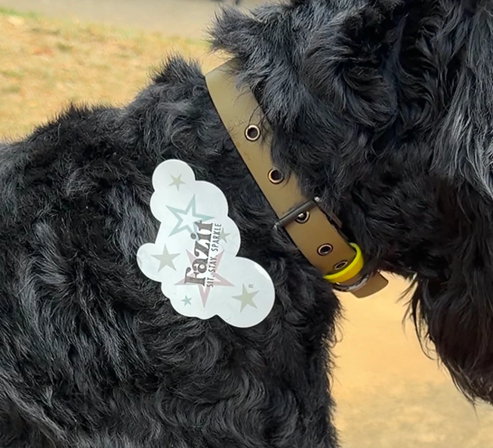 💫Temporary Dog Fur Tattoos – Waterproof, Pet-Safe & Easy to Remove | 4 Patches Per Pack🐾