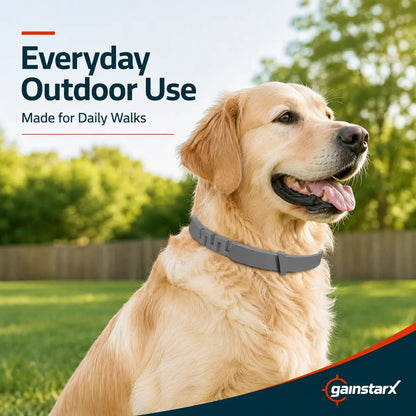 Adjustable Dog Collar with Fresh Scent Comfortable Lightweight Pet Collar
