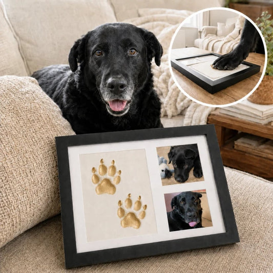 🐾 The PawsFrame | 💕Keeping Pets Forever in Memory