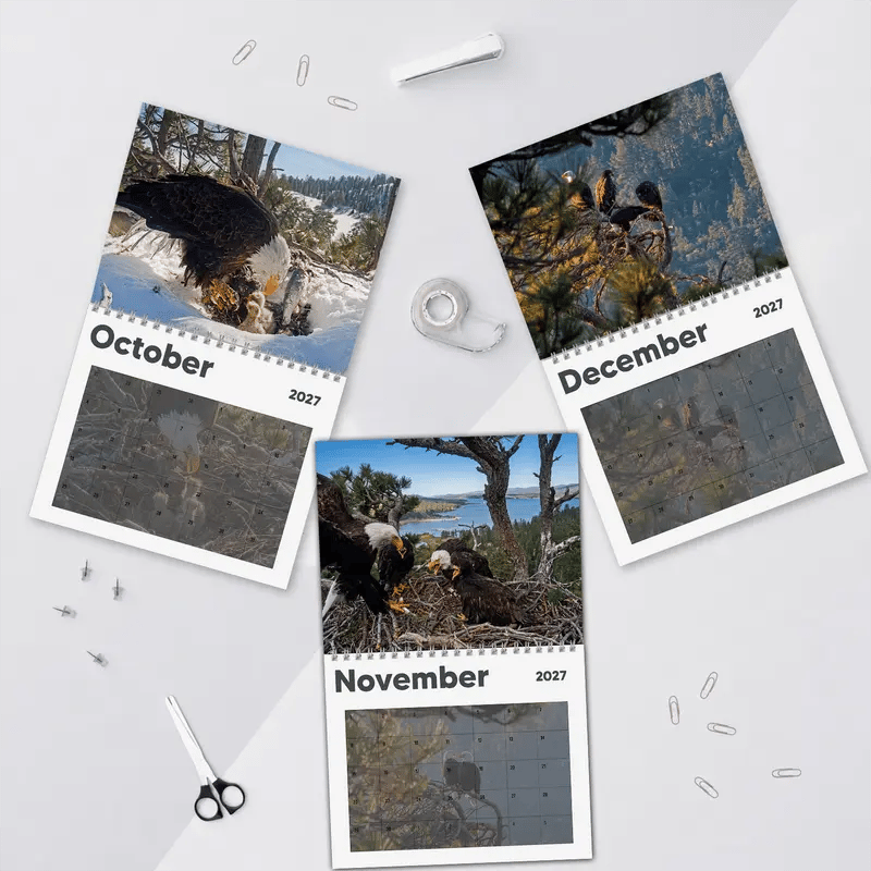 Jackie Shadow wall calendar display