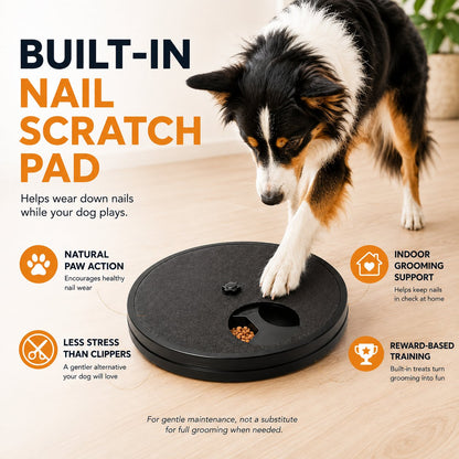 3-in-1 Dog Enrichment Feeder