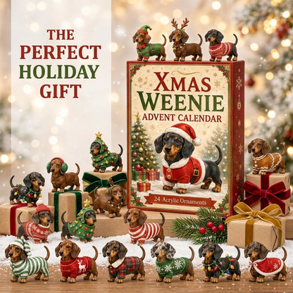 🎄HOT SALE 49% OFF🐾 2026 Dachshund Advent Calendar 🐶✨
