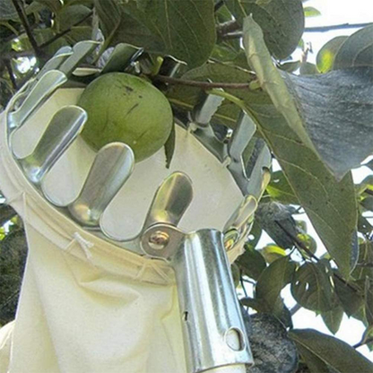 🍎 Fruit Picker with Collection Basket