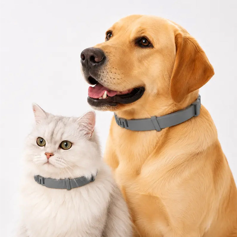 ✨Summer Limited-Time 50% OFF🔥 Adjustable Flea & Tick Collars for Dogs & Cats