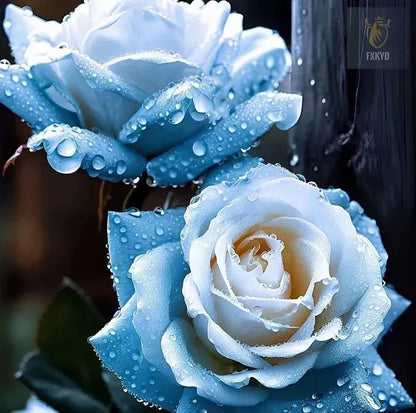 [BestSellerTop]Rare Twin Red White Rose Seeds (200/1000pcs) – Stunning Garden Blooms, Easy to Grow