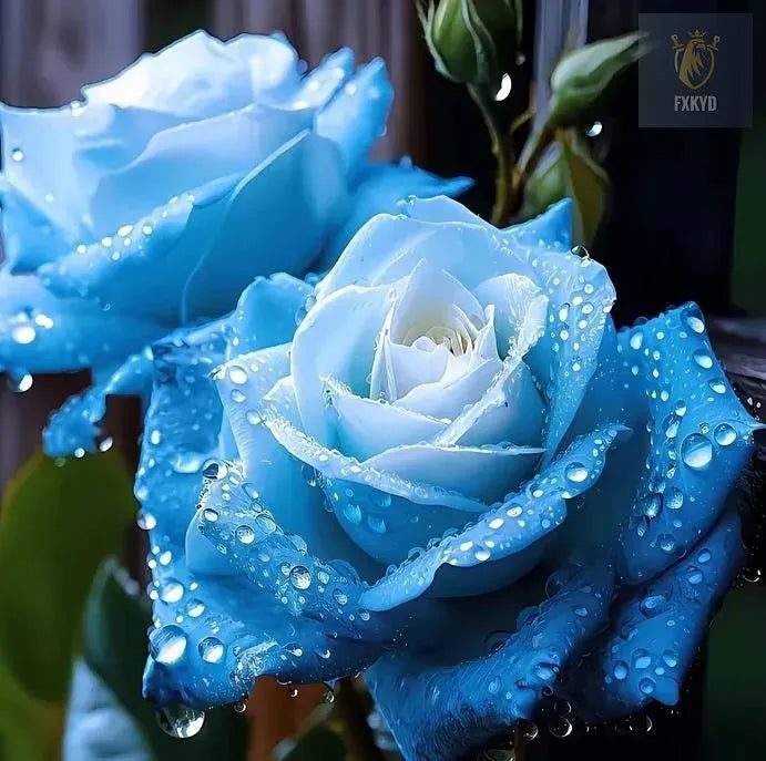 [BestSellerTop]Rare Twin Red White Rose Seeds (200/1000pcs) – Stunning Garden Blooms, Easy to Grow