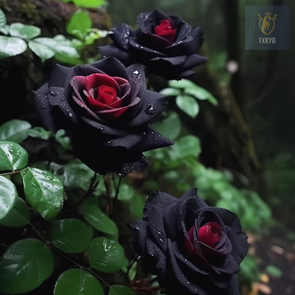 [BestSellerTop]Rare Twin Red White Rose Seeds (200/1000pcs) – Stunning Garden Blooms, Easy to Grow